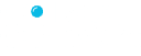 Our partner Bold Insight